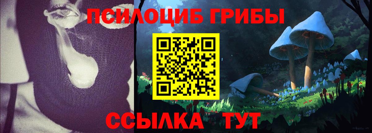 Котовск  Псилоцибиновые грибы GOLDEN TEACHER  Вход с VPN 